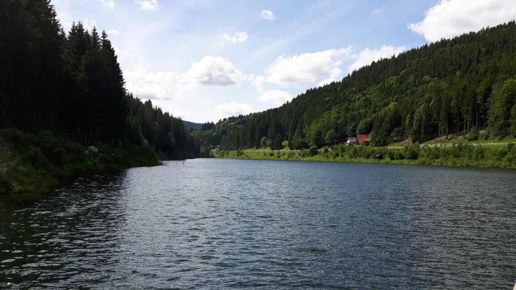 Apartamento Haus Waldeck Furtwangen Exterior foto